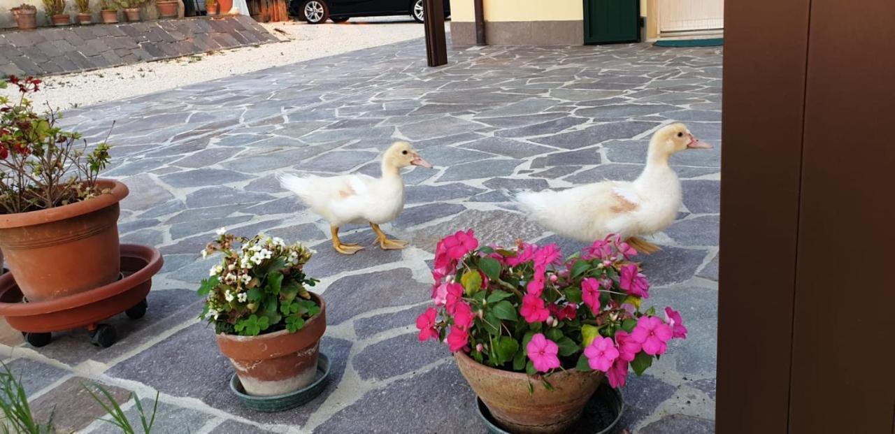 Borgo Tarapino Hotel Ferrara Kültér fotó