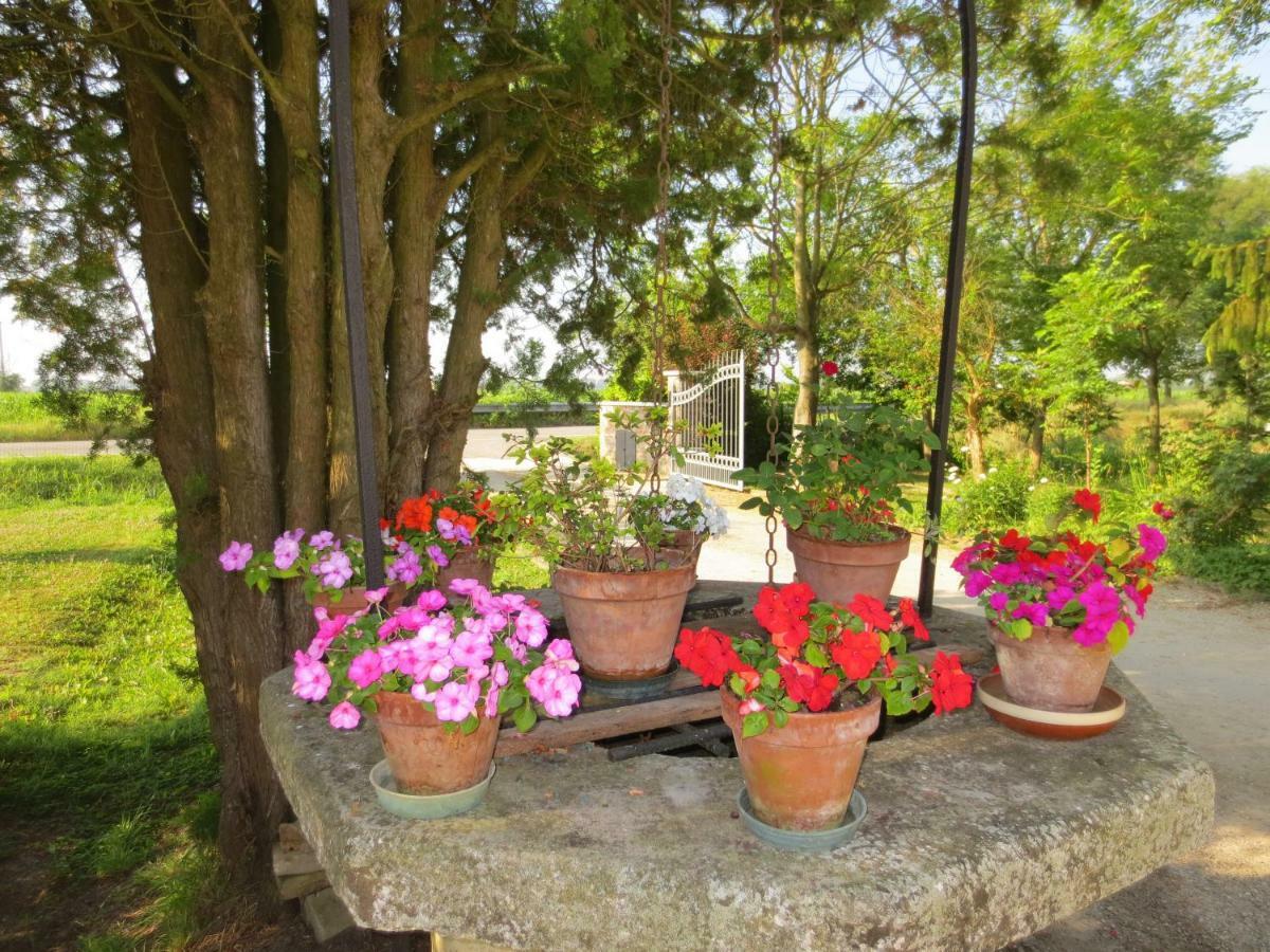Borgo Tarapino Hotel Ferrara Kültér fotó