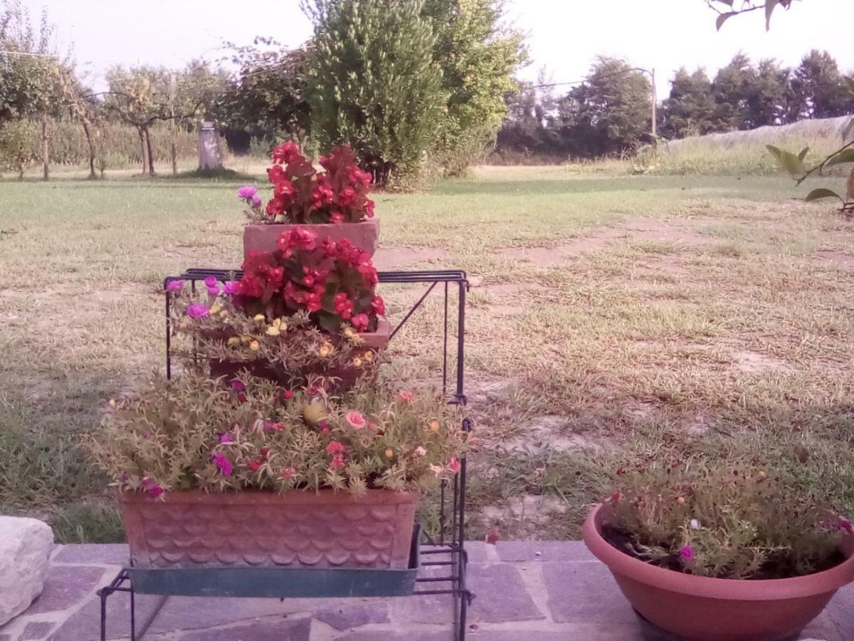 Borgo Tarapino Hotel Ferrara Kültér fotó